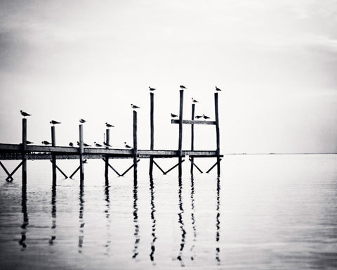Black and White Coastal Photography by carolyncochrane.com