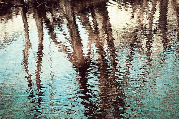 Water Reflection Photography Art by CarolynCochrane.com | Tree Reflection Picture