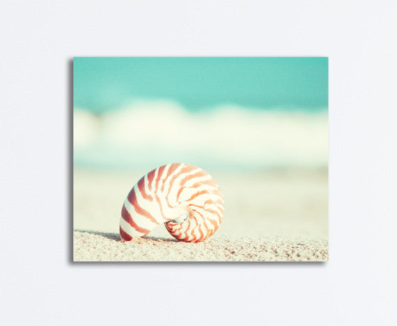 Teal Seashell on Beach Art by carolyncochrane.com