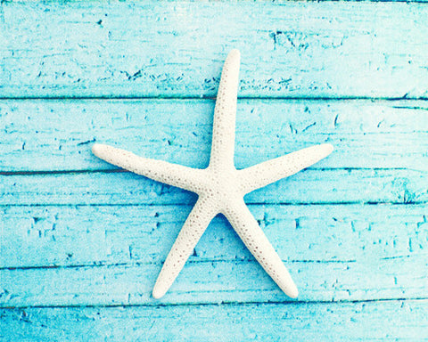 Starfish Picture by carolyncochrane.com