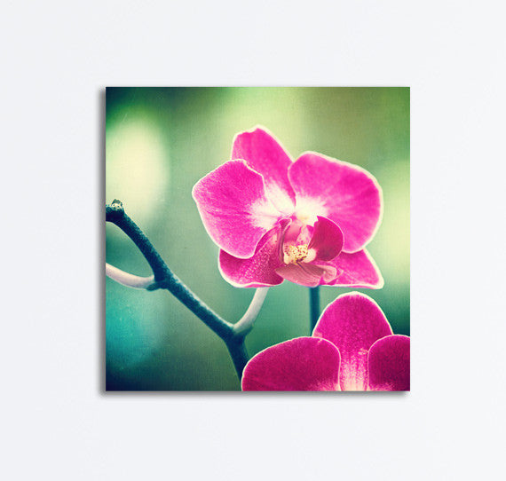 Orchid Photography Print by carolyncochrane.com