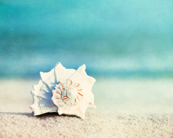 Aqua Beach Photography Art by carolyncochrane.com