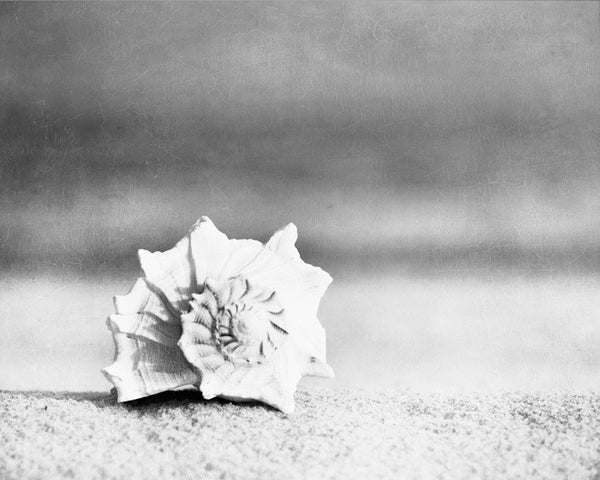 Black and White Beach Photography Art by carolyncochrane.com