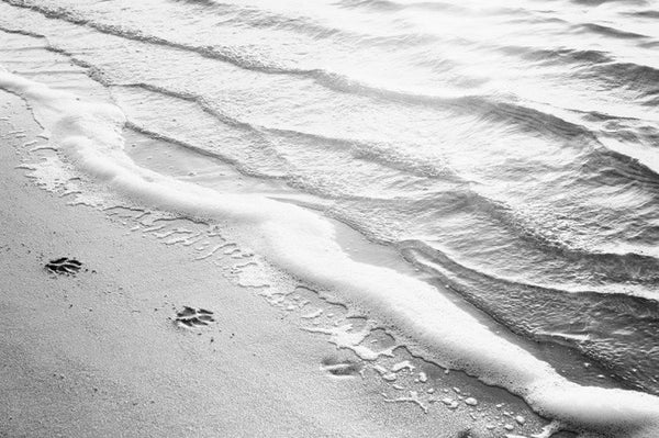 Black White Beach Photography by carolyncochrane.com