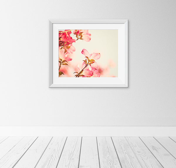 Coral Pink Dogwood Flower Photography Art by Carolyn Cochrane