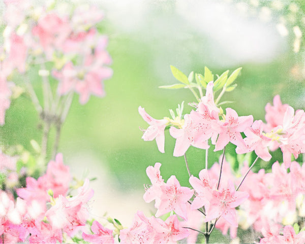 Pink Green Floral Nursery Art by carolyncochrane.com
