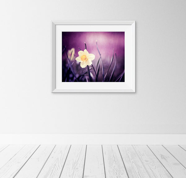 Dark Purple Flower Photography Print by carolyncochrane.com