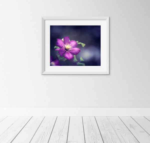 Dark Indigo Purple Flower Photography by carolyncochrane.com