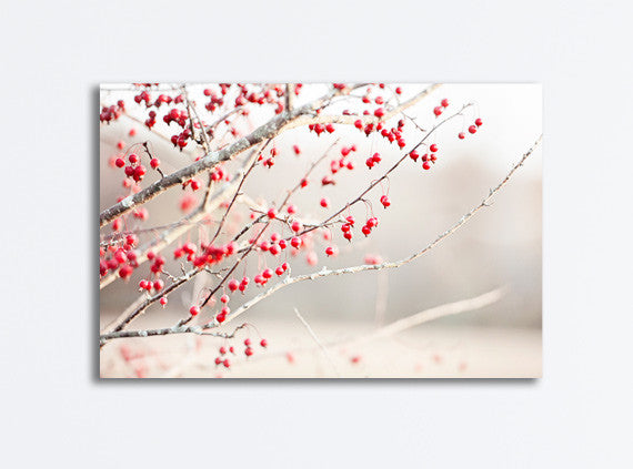 Red Berries Canvas Photography by carolyncochrane.com