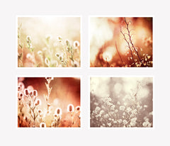 Rust Nature Photography Set by carolyncochrane.com