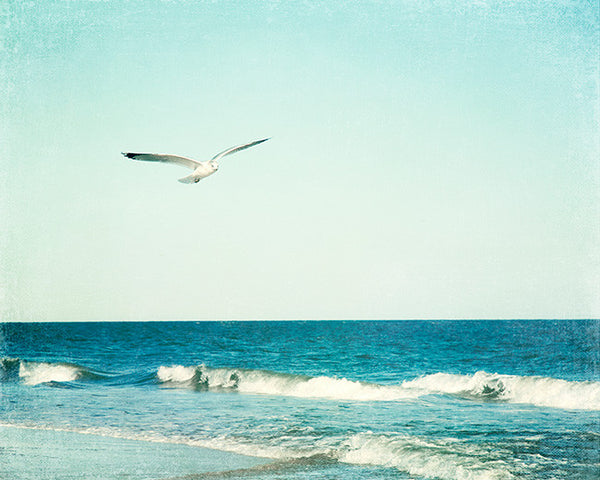 Seagull Flying over Ocean Photography Art by CarolynCochrane.com