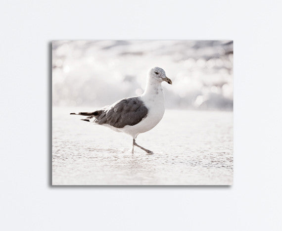 Seagull on Beach Canvas by carolyncochrane.com