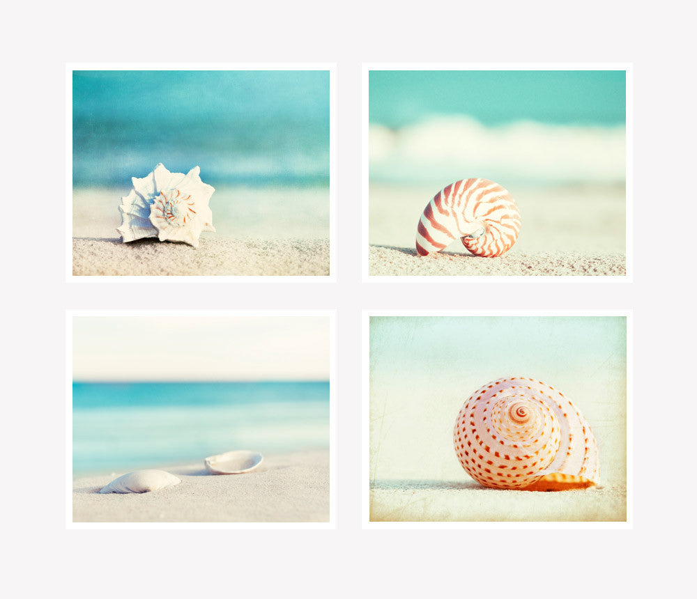 Photograms Using Seashells Seashell Photography Set | Seashell Beach Photographs – Carolyn ...