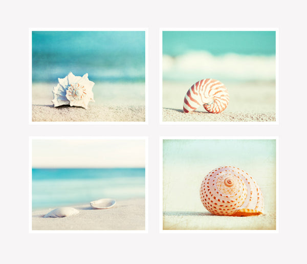 Seashell Photography Set by carolyncochrane.com