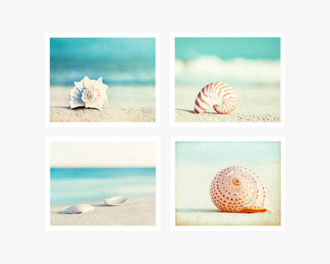 Seashell Photography Set by carolyncochrane.com