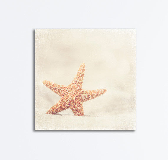 Beige Starfish on Beach Canvas by carolyncochrane.com