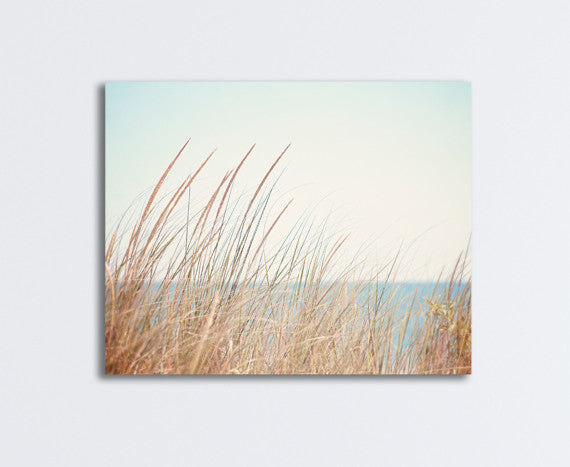 Beach Grass Canvas by carolyncochrane.com