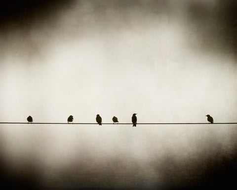 Dark Bird on Wire Art by carolyncochrane.com