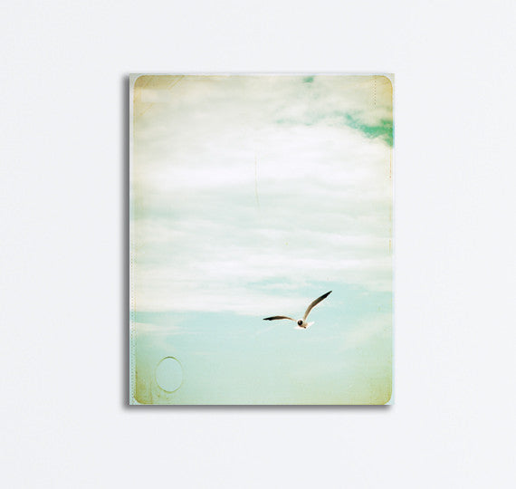 Seagull Flying Canvas by carolyncochrane.com