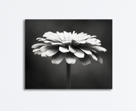 Black and White Flower Canvas by carolyncochrane.com