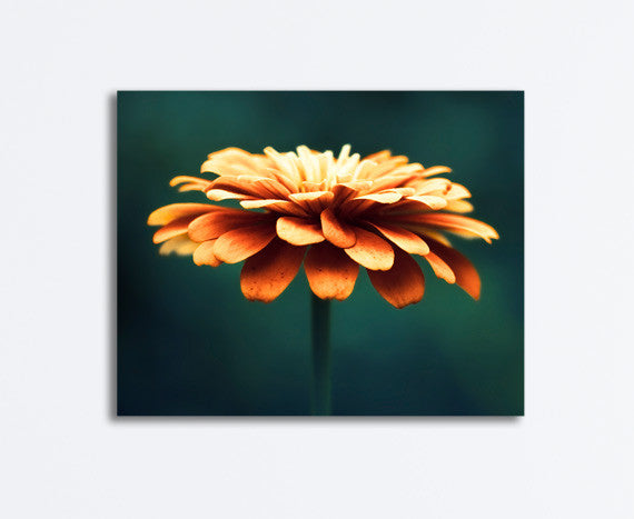 Orange Teal Flower Canvas by carolyncochrane.com