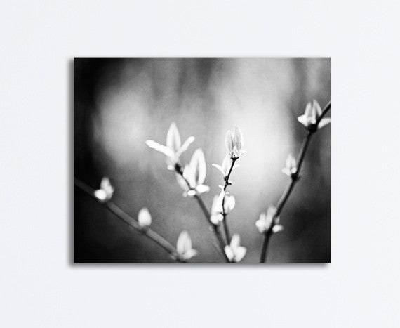 Black and White Branch Canvas by carolyncochrane.com