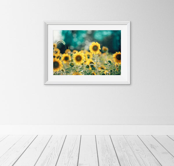 Teal Yellow Sunflower Photograph by carolyncochrane.com