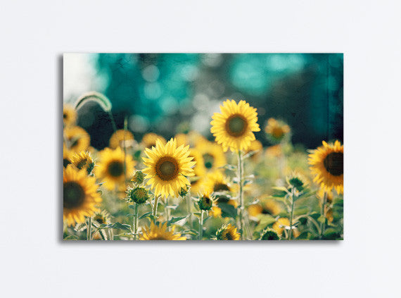 Teal Yellow Sunflower Canvas by carolyncochrane.com