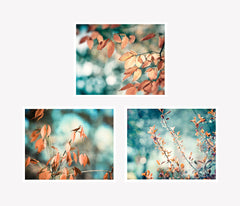 Teal Copper Nature Photography Art by carolyncochrane.com
