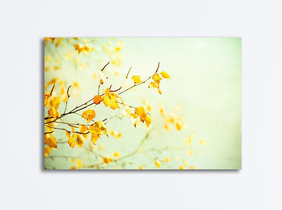 Yellow Mint Nature Canvas by carolyncochrane.com