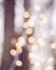 Christmas Lights Photography by carolyncochrane.com