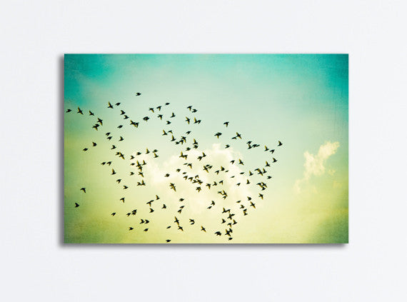 Birds Flying Canvas by carolyncochrane.com