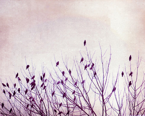 Purple Nursery Bird Art by carolyncochrane.com