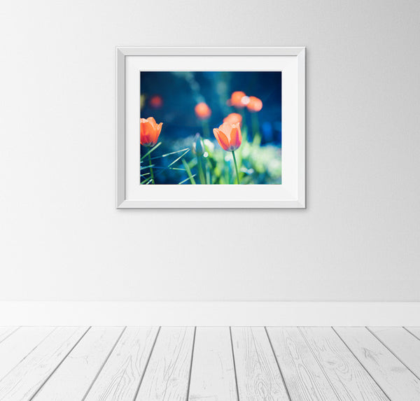 Blue Orange Nature Wall Art by carolyncochrane.com