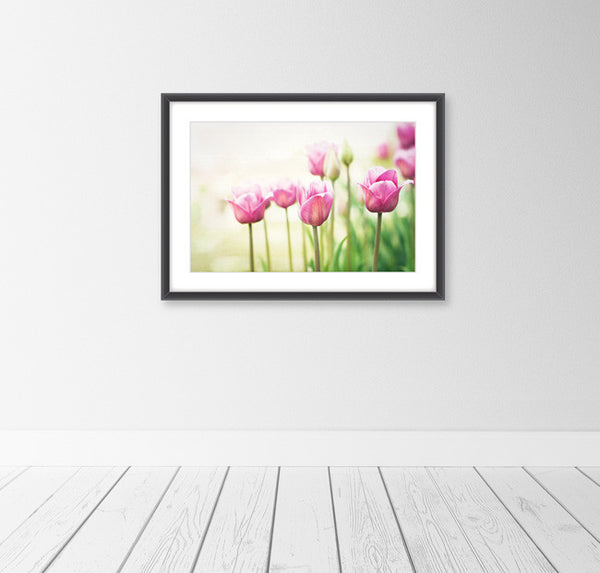Pink Green Tulip Photography Print by carolyncochrane.com