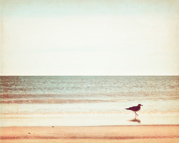 Shore Birds Art Photography by carolyncochrane.com
