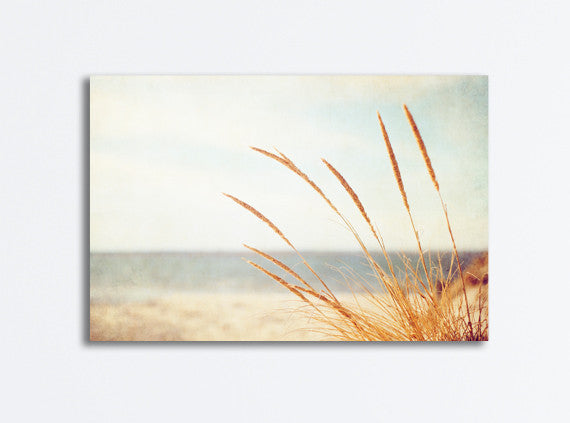 Beach Grass Photography Decor by carolyncochrane.com