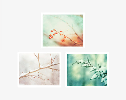 Mint Winter Nature Decor by carolyncochrane.com