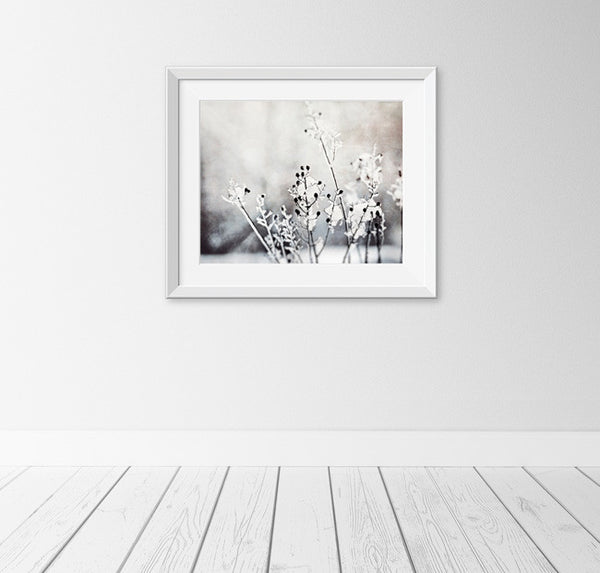 Black and White Winter Photography by carolyncochrane.com