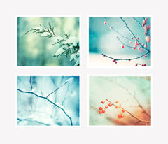 Winter Photography Nature Art by carolyncochrane.com