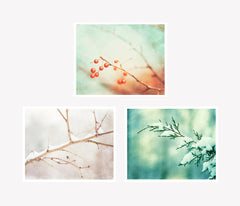 Mint Winter Nature Decor by carolyncochrane.com