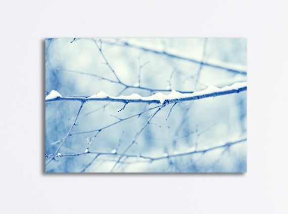 Blue Winter Nature Photography by carolyncochrane.com