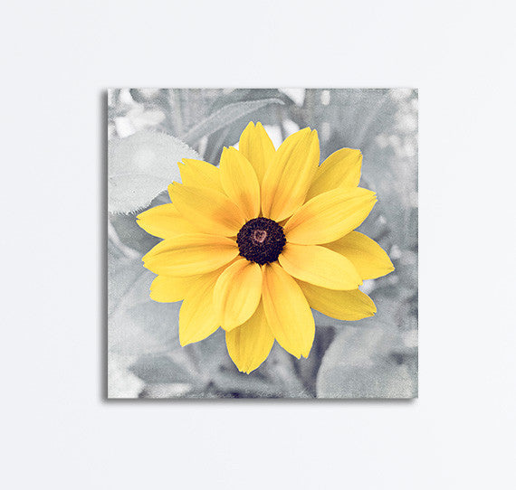 Yellow Grey Flower Photography Canvas, CarolynCochrane.com