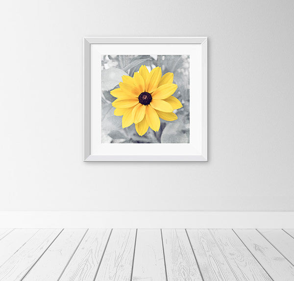 Yellow Grey Flower Photography, CarolynCochrane.com