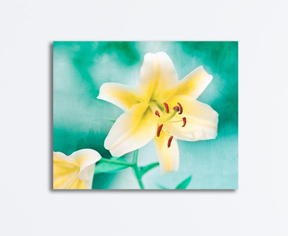 turquoise lily flower Turquoise Yellow Flower Art