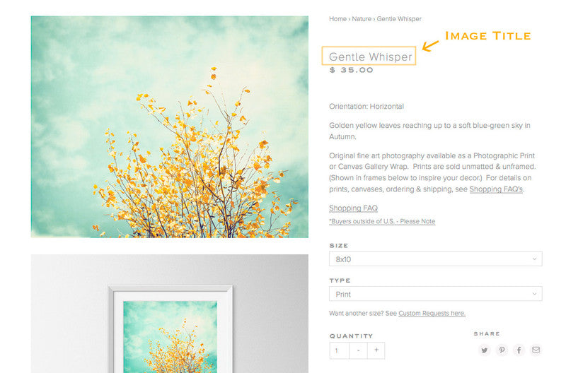 Custom Size Photography Prints and Canvas Gallery Wraps – Carolyn ...